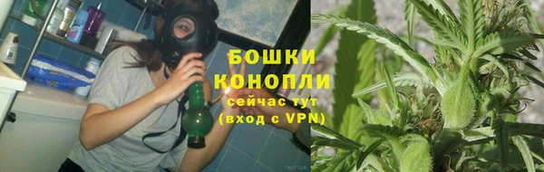 мяу мяу мука Гусев