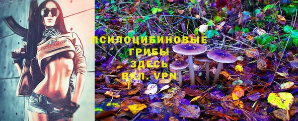 молекула духа Гусь-Хрустальный