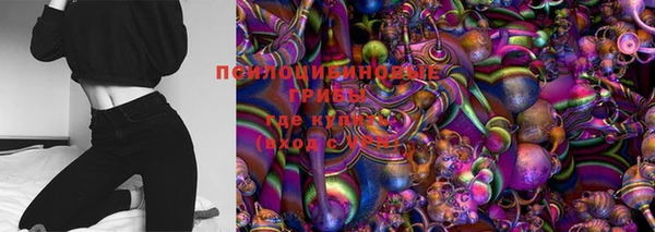 молекула духа Гусь-Хрустальный