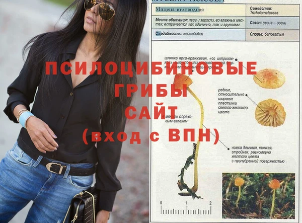 молекула духа Гусь-Хрустальный