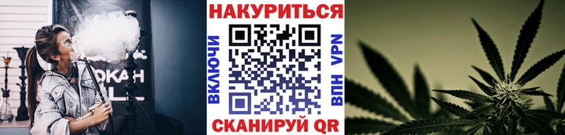Бошки Шишки планчик Джанкой