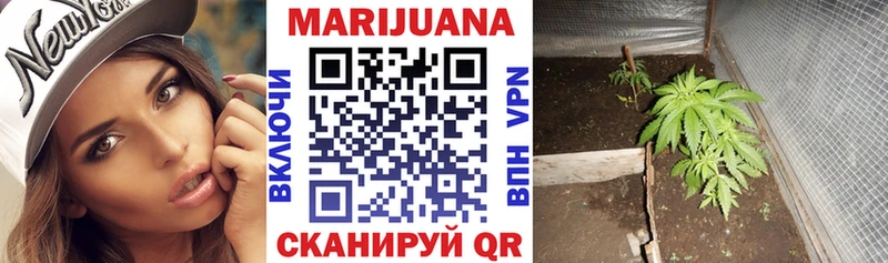 Бошки Шишки планчик  Купить  Джанкой 